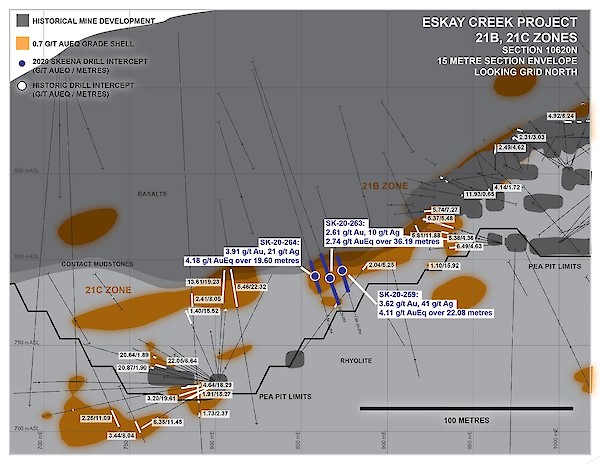 Vsect 2010620n 01 20smaller 20 003.600x0 Is