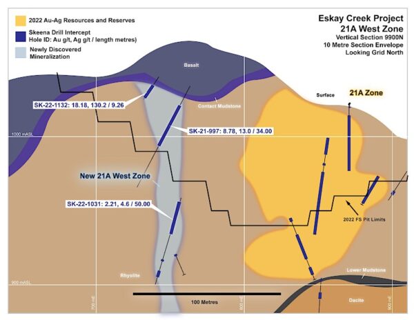 9900n Section.800x0 Is