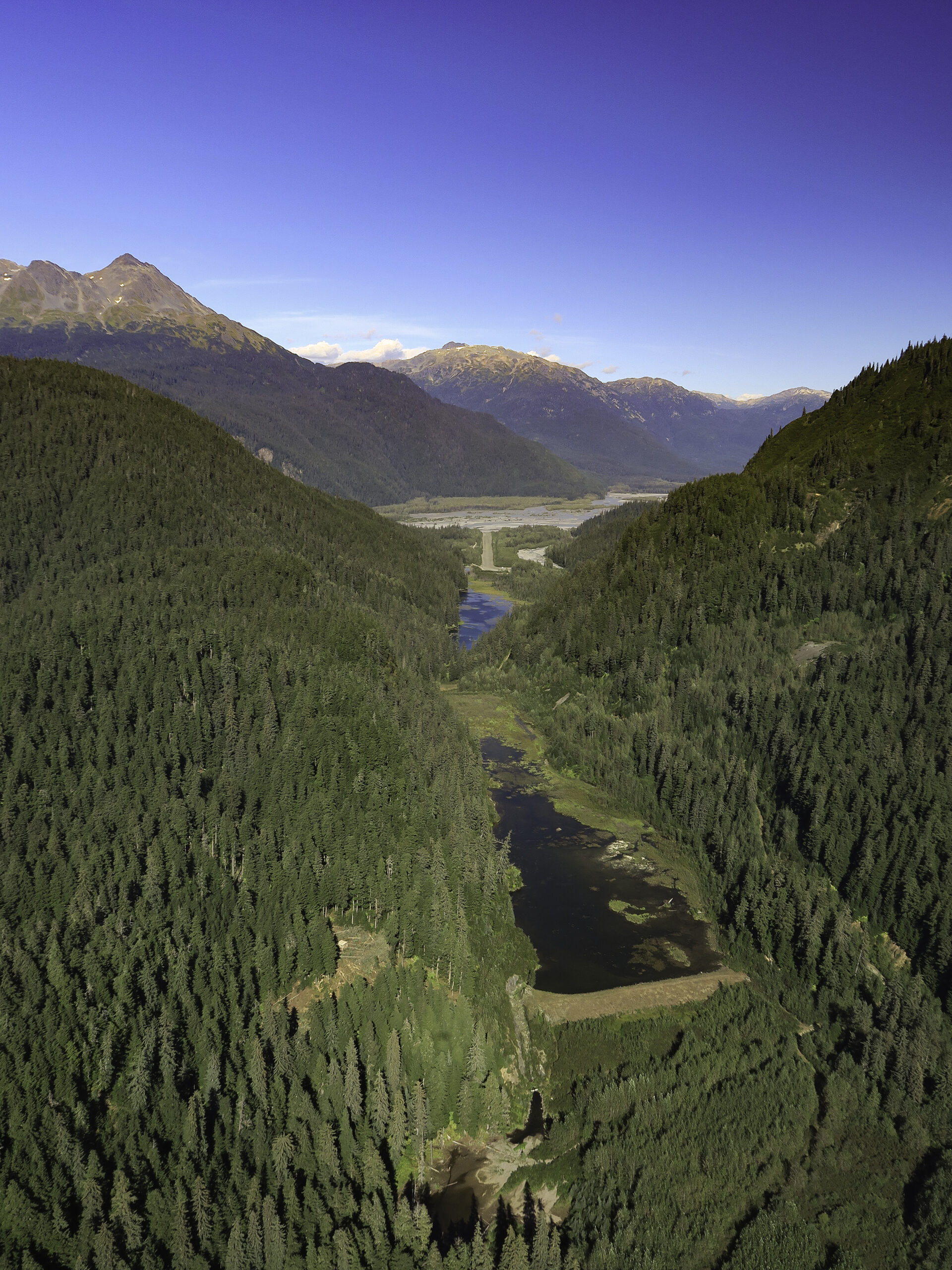 Snip Region Snip Deposit - Skeena Gold + Silver
