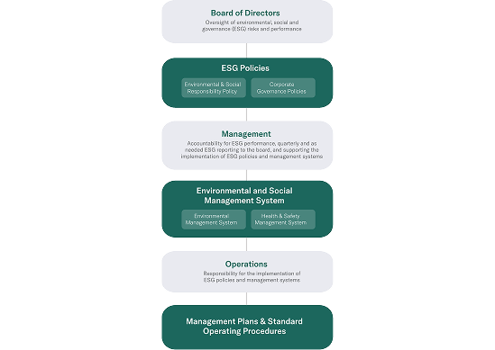 Business Structure Tree